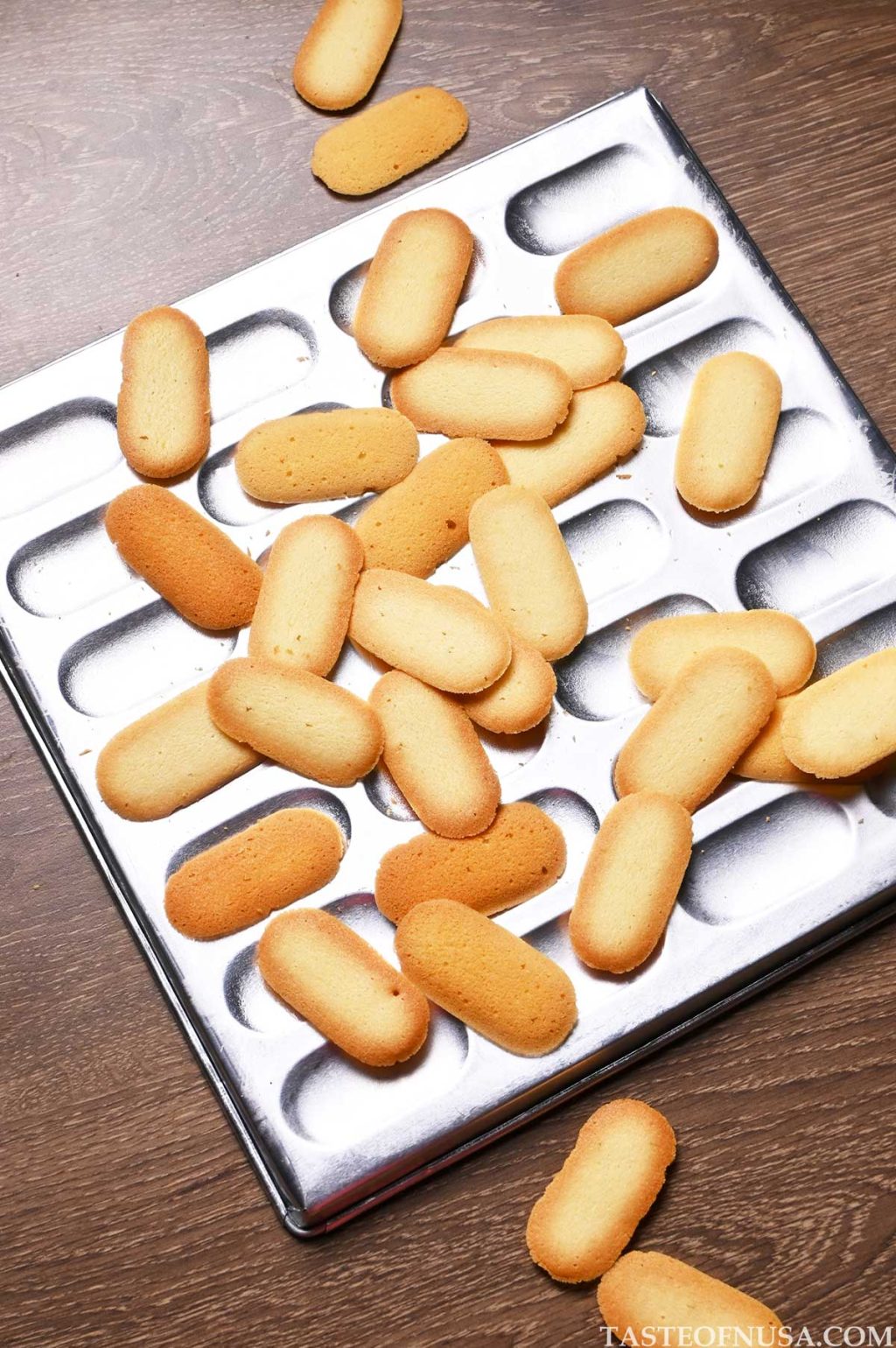 langues de chat biscuit mold