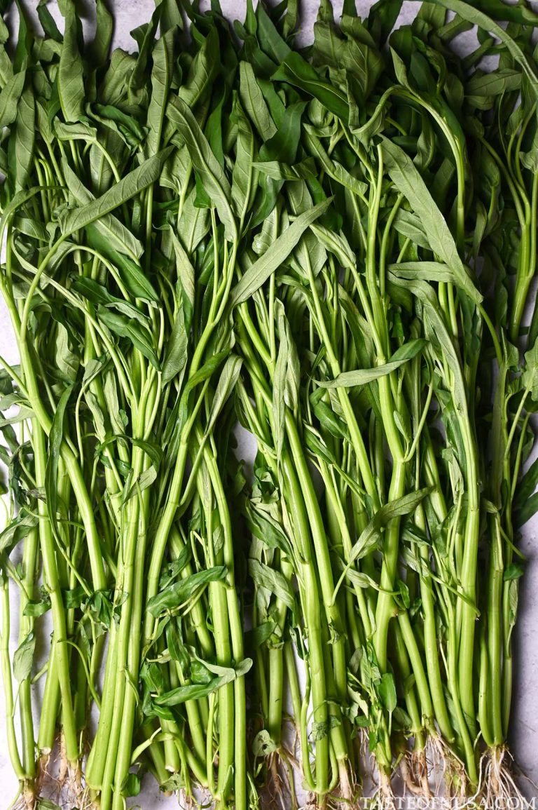 morning glory or water spinach or kangkung