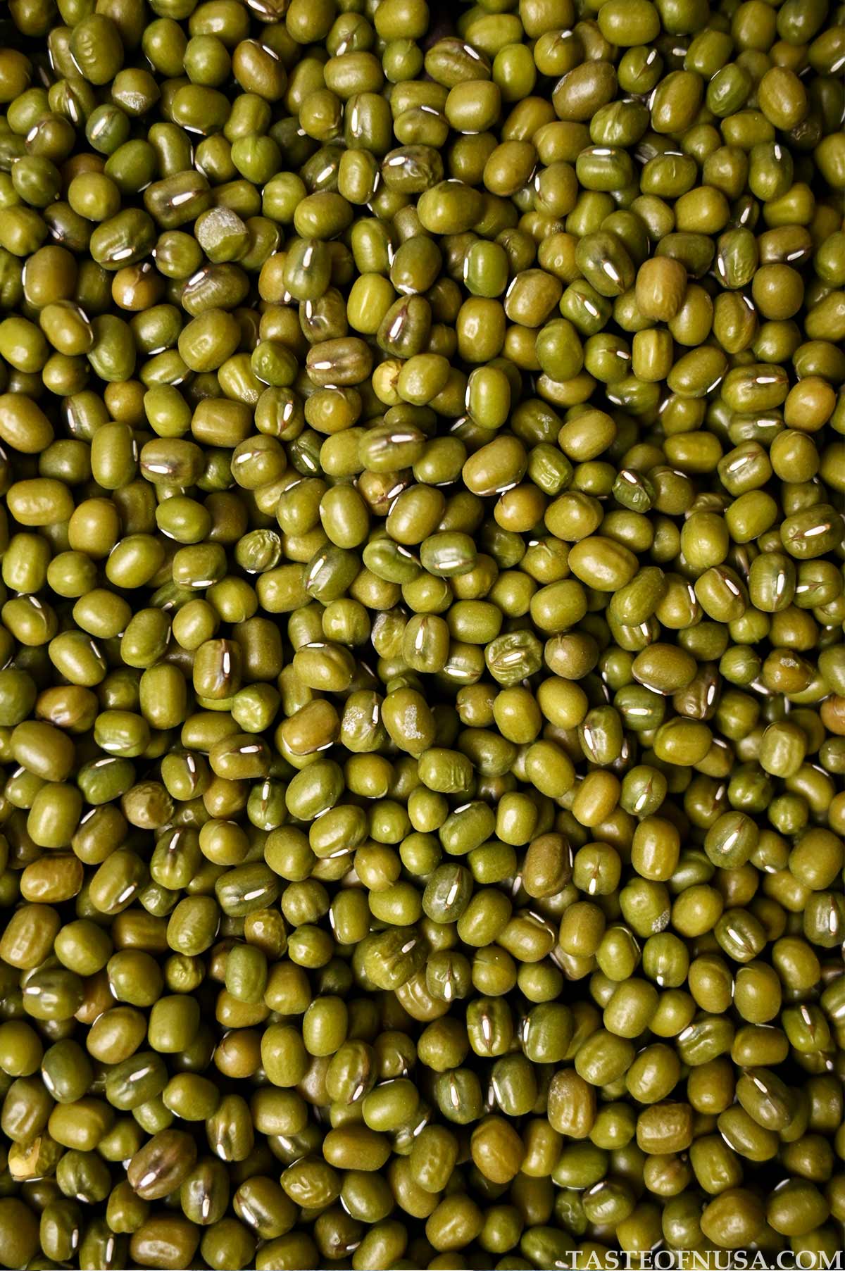 dried mung beans or green beans