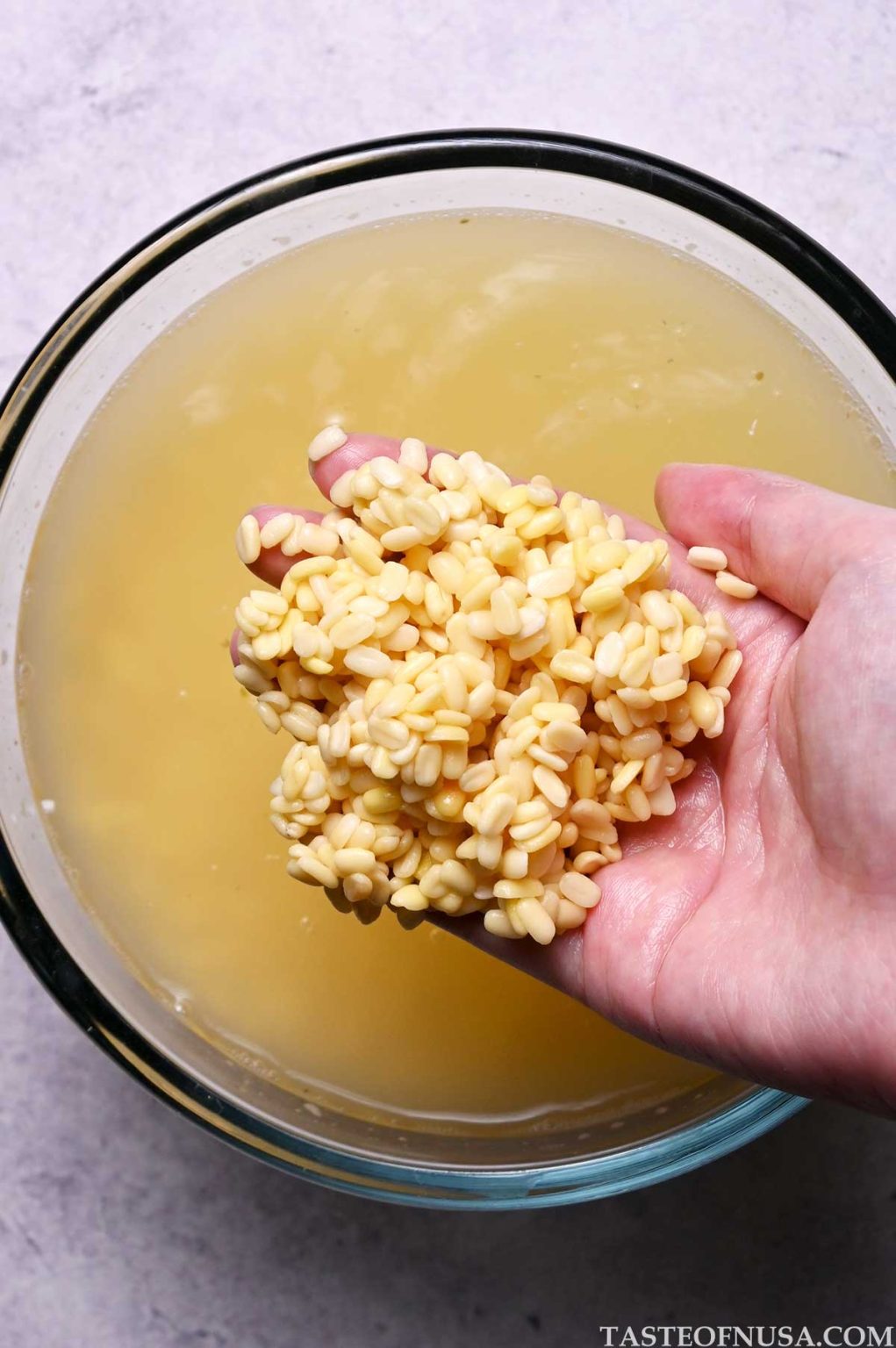 What Are Split Mung Beans? - Taste of Nusa
